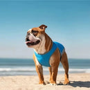 Coleira de Peito Termica Cold Dog - MegaOfertas