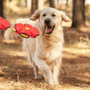 Brinquedo Voador para Cães com Função 2 em 1 - MegaOfertas