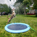 Piscina Inflável para Pets - MegaOfertas